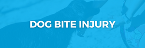 Dog Bite Injury