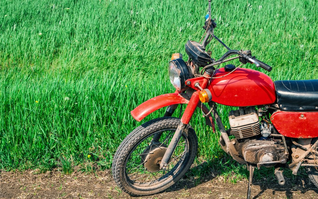 Unveiling the Impact of Grass Clippings on Motorcycle Safety